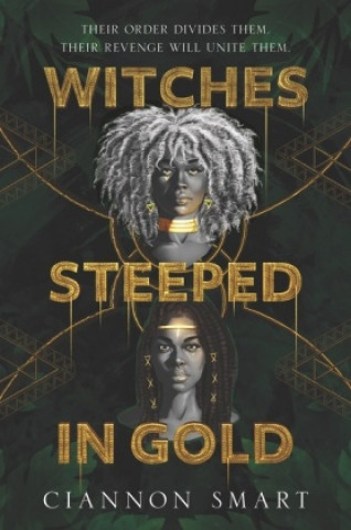 Book Witches Steeped in Gold 