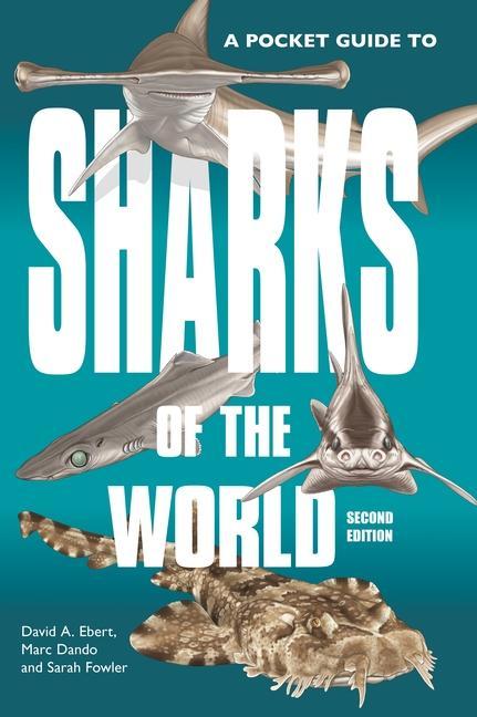 Książka Pocket Guide to Sharks of the World Dr. Sarah Fowler