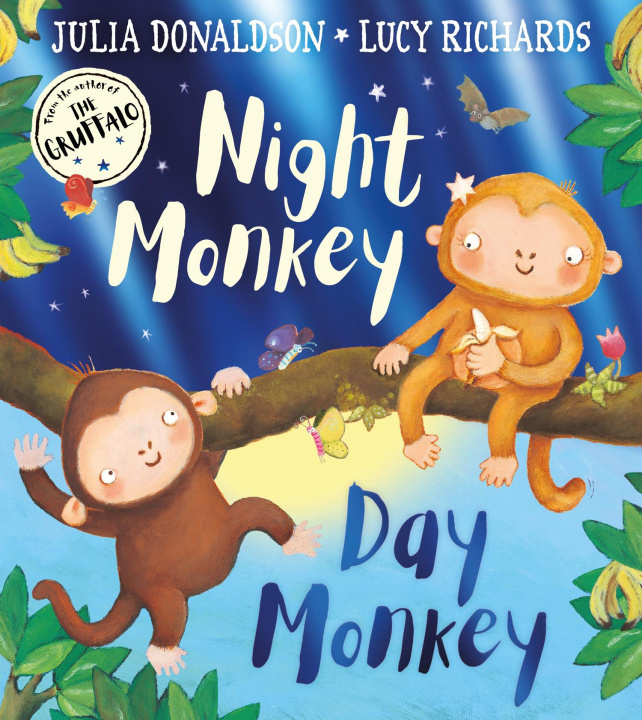 Könyv Night Monkey, Day Monkey Lucy Richards