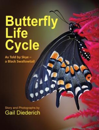 Kniha Butterfly Life Cycle GAIL DIEDERICH