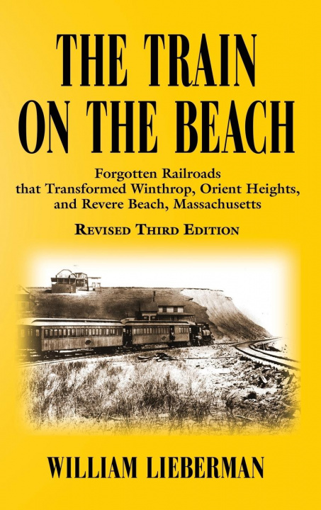 Carte Train on the Beach WILLIAM LIEBERMAN