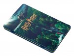 Nyomtatványok Harry Potter: Hogwarts Concept Art Postcard Tin Set Insight Editions