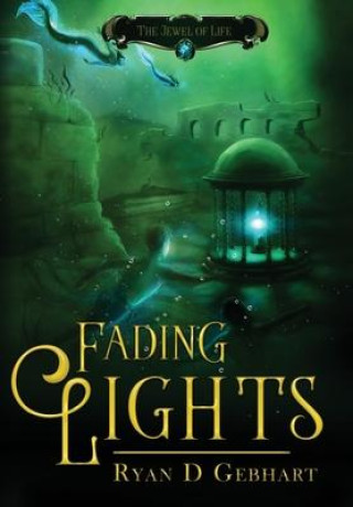 Buch Fading Lights RYAN D GEBHART