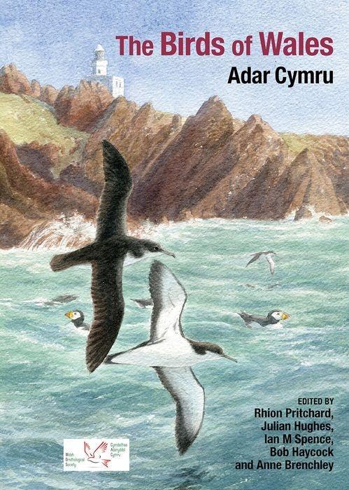 Kniha Birds of Wales 