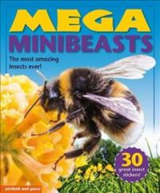 Kniha Mega Minibeasts Nina Filipek