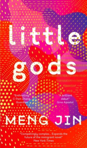 Könyv Little Gods Meng Jin