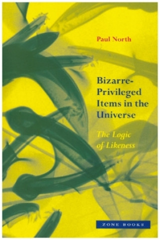 Könyv Bizarre-Privileged Items in the Universe - The Logic of Likeness Paul North
