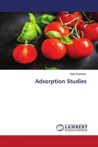 Knjiga Adsorption Studies Ibraheem Nabil Ibraheem