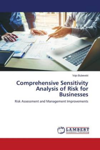 Könyv Comprehensive Sensitivity Analysis of Risk for Businesses Bubevski Vojo Bubevski
