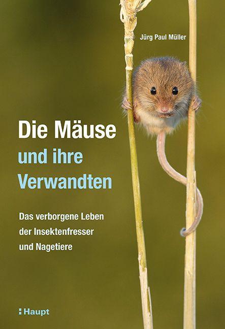 Kniha Die Mäuse und ihre Verwandten Lea Gredig