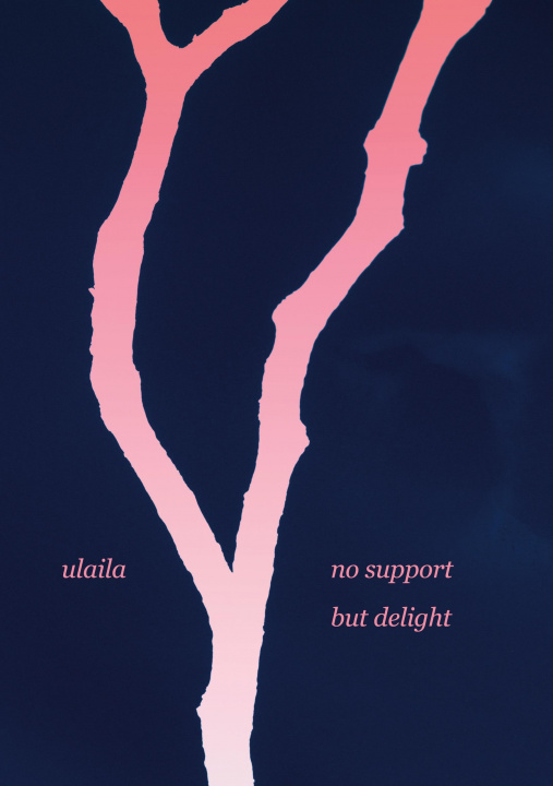 Knjiga no support but delight Ulaila