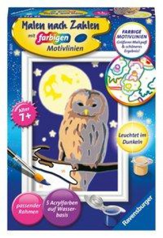 Game/Toy Ravensburger Malen nach Zahlen 28772 - Nachteule - Kinder ab 7 Jahren 