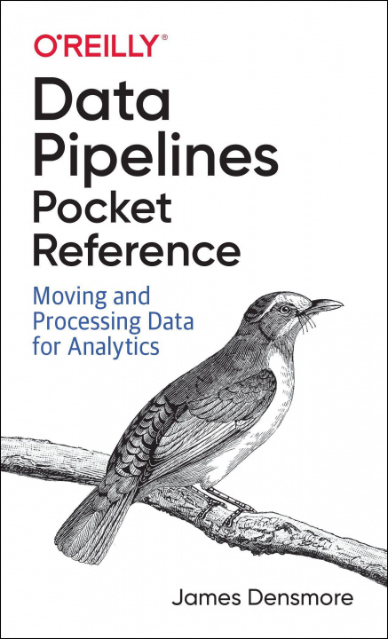 Könyv Data Pipelines Pocket Reference James Densmore