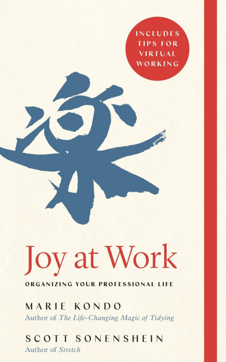 Kniha Joy at Work Scott Sonenshein