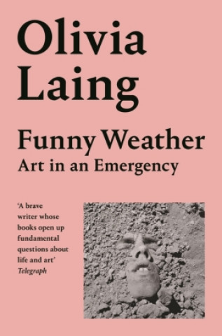 Kniha Funny Weather 