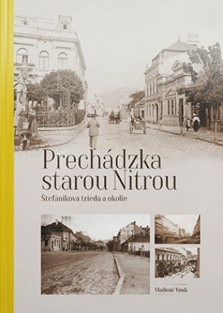 Książka Prechádzka starou Nitrou Vladimír Vnuk