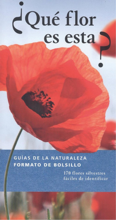Audio ¿QUÉ FLOR ES ESTA? Eva Nieto Silva