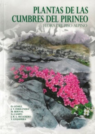 Kniha PLANTAS DE LAS CUMBRES DEL PIRENEO 