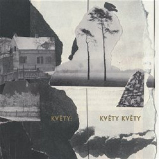 Аудио Květy Květy - CD Květy