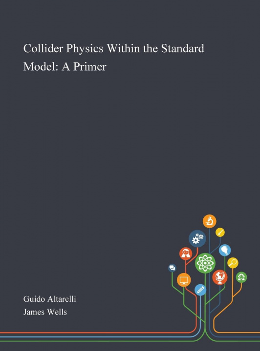 Boek Collider Physics Within the Standard Model Guido Altarelli