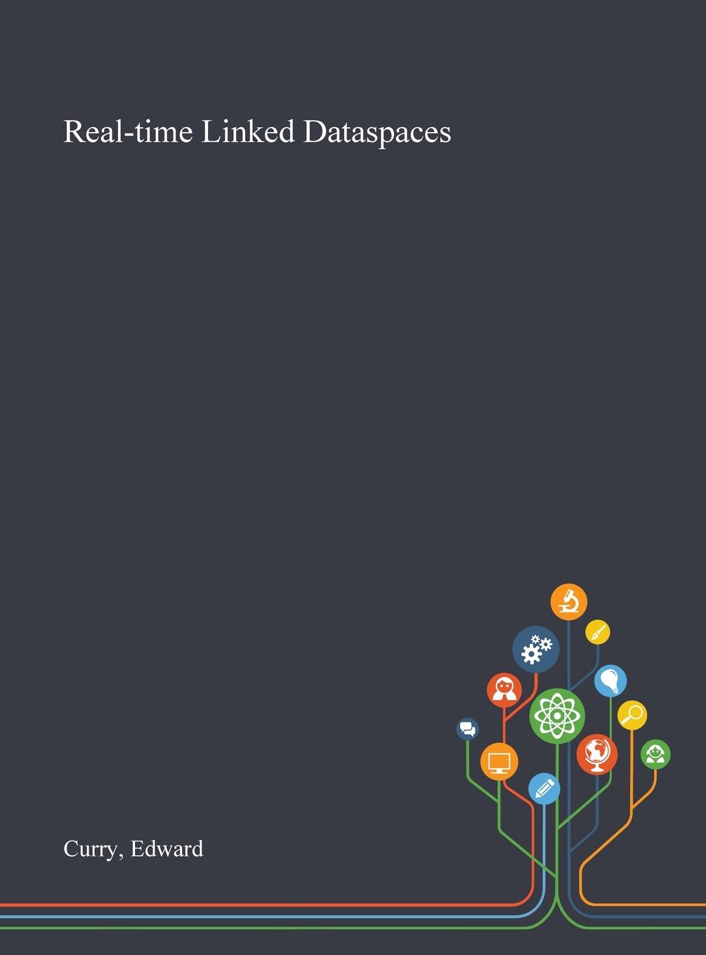 Knjiga Real-time Linked Dataspaces Curry Edward Curry