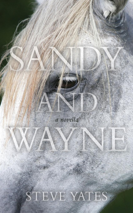 Knjiga Sandy and Wayne Yates Steve Yates