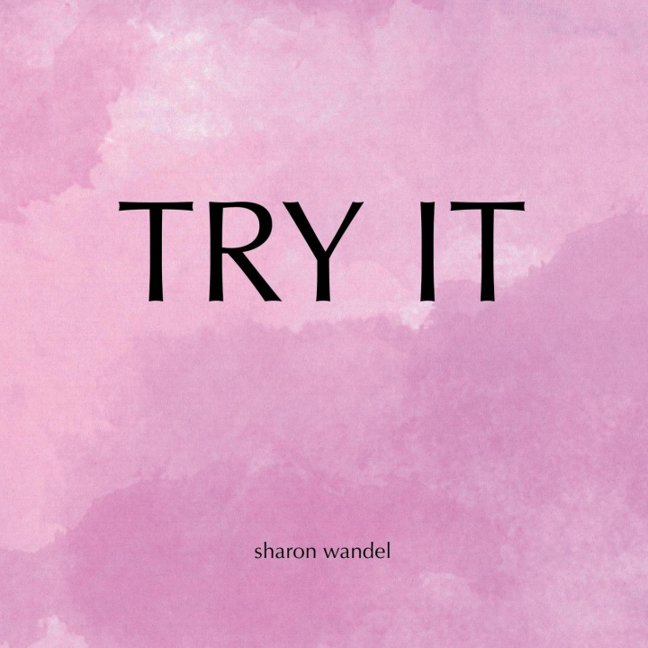 Knjiga Try It Wandel Sharon Wandel