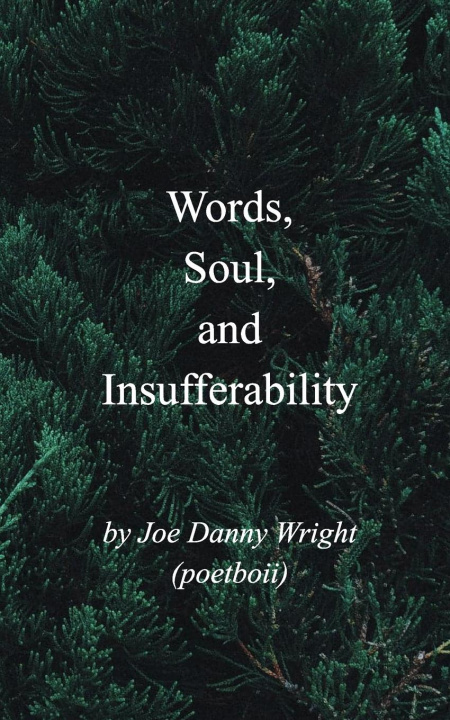 Libro Words, Soul, and Insufferability (poetboii) Joe Danny Wright (poetboii)