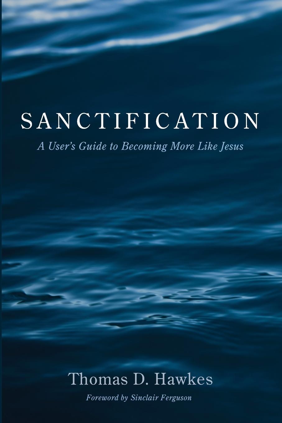 Knjiga Sanctification Hawkes Thomas D. Hawkes