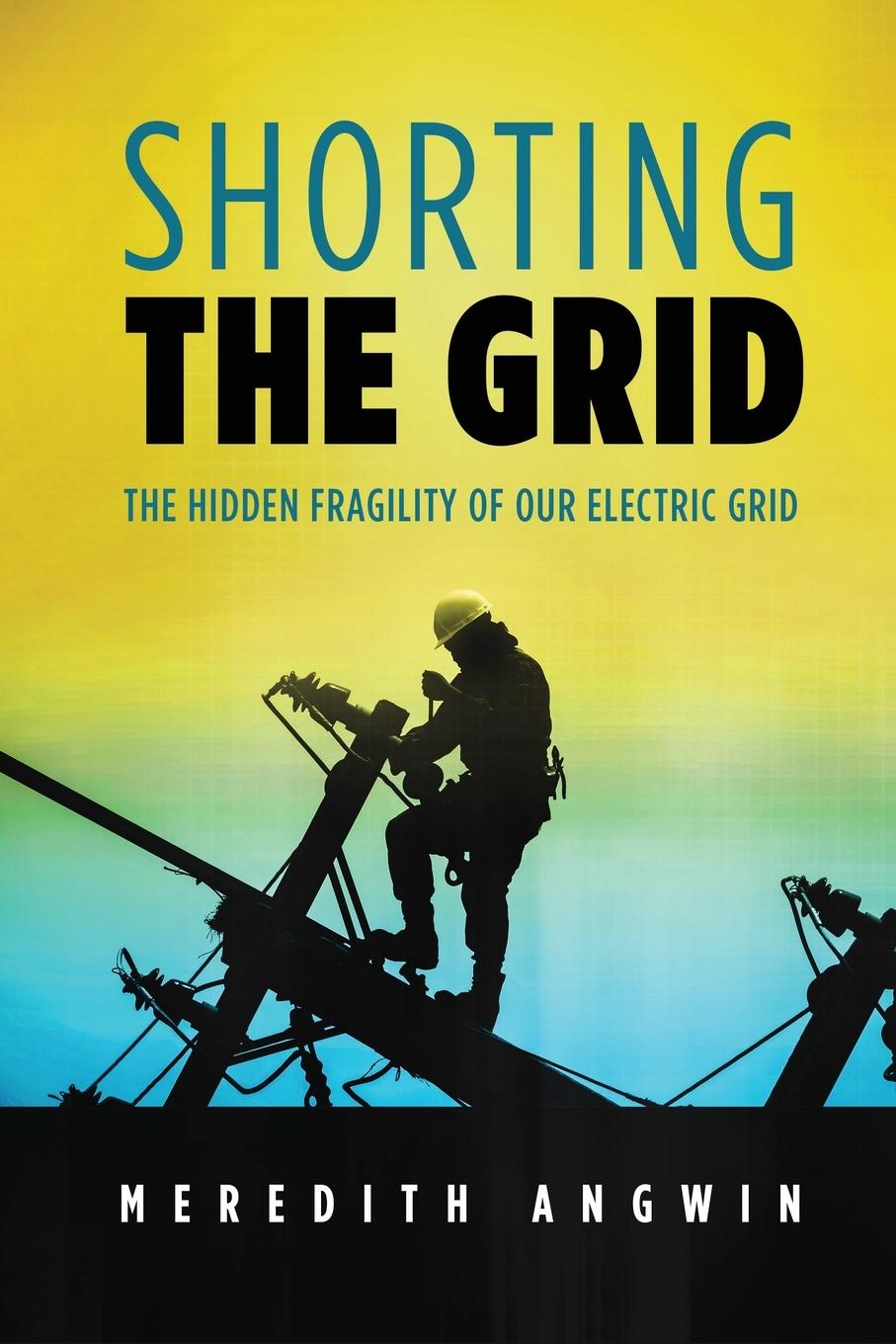 Книга Shorting the Grid Angwin Meredith Angwin