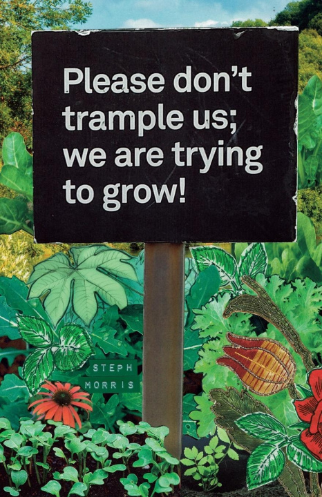 Buch Please don't trample us; we are trying to grow! Steph Morris