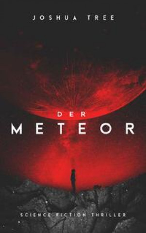 Kniha Der Meteor 