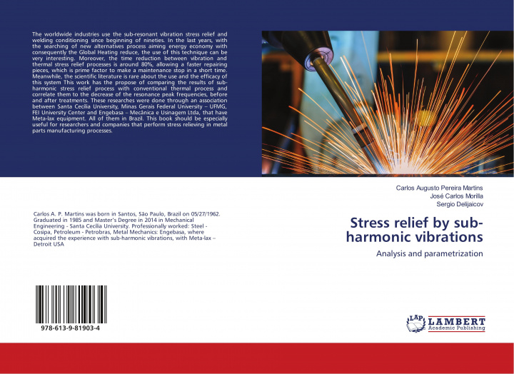 Knjiga Stress relief by sub-harmonic vibrations Martins Carlos Augusto Pereira Martins