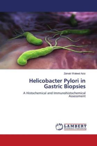 Könyv Helicobacter Pylori in Gastric Biopsies Waleed Aziz Zainab Waleed Aziz