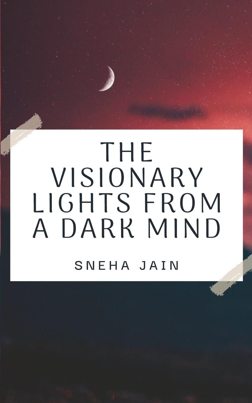 Kniha Visionary Lights From A Dark Mind Sneha Jain