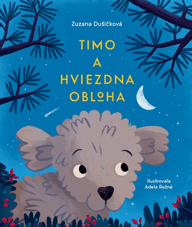 Book Timo a hviezdna obloha Zuzana Dušičková
