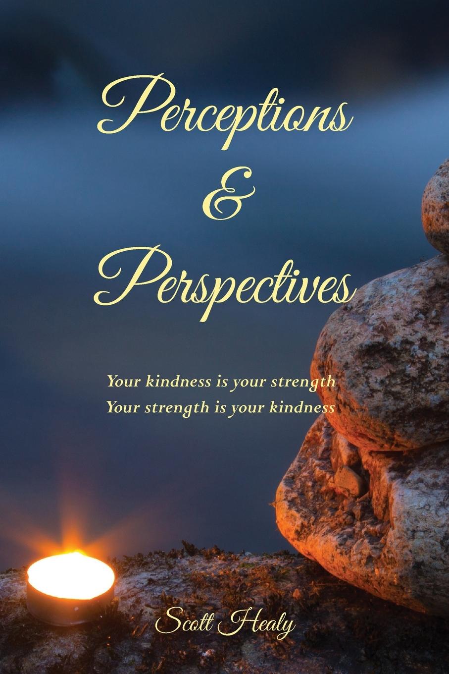 Knjiga Perceptions & Perspectives Scott Healy