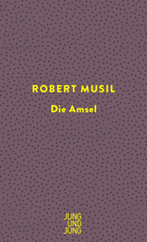Boek Die Amsel Robert Musil