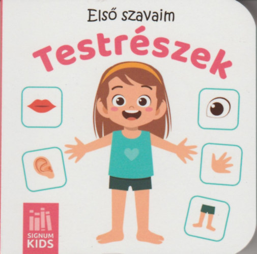 Książka Első szavaim - Testrészek 