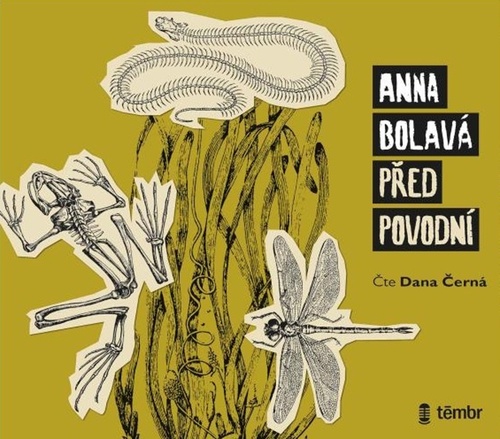 Kniha Před povodní Anna Bolavá