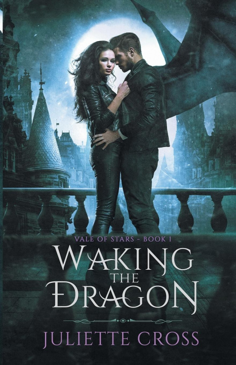 Kniha Waking the Dragon 