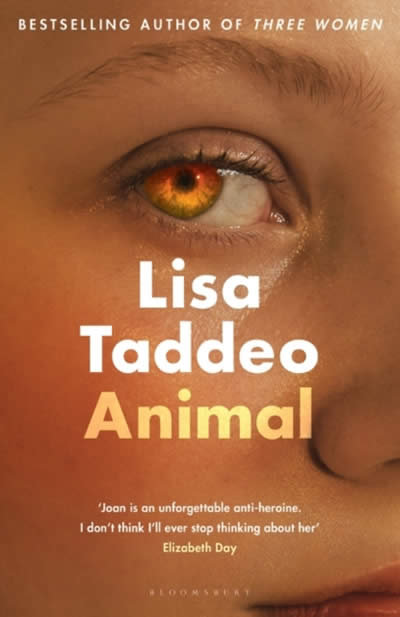 Carte Animal Lisa Taddeo