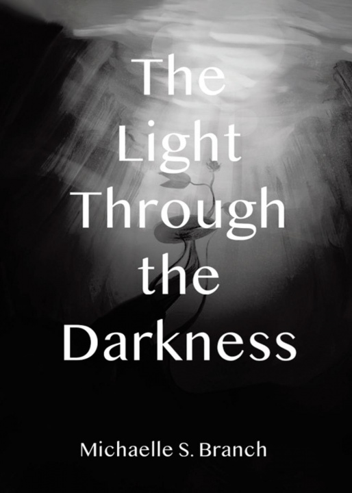 Knjiga Light Through The Darkness MICHAELLE S. BRANCH