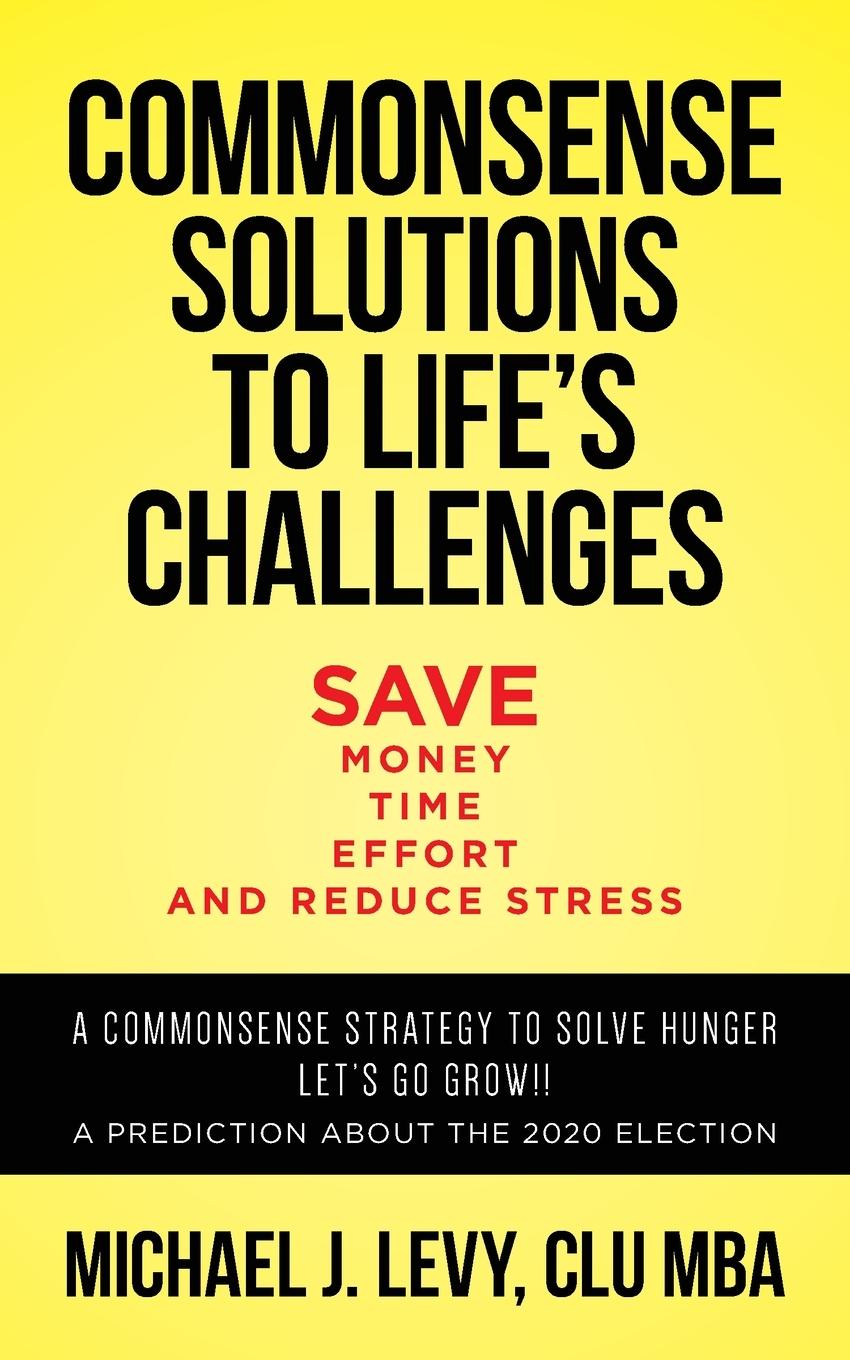 Knjiga Commonsense Solutions to Life's Challenges MICHAEL  J LEVY