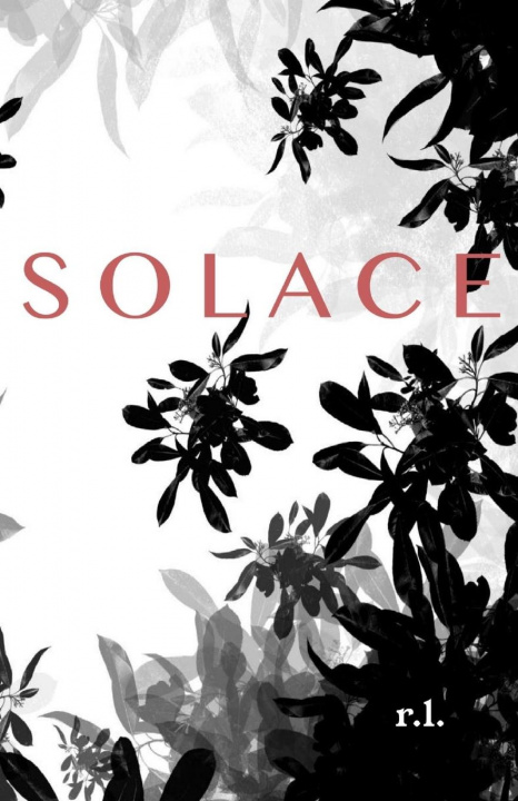Knjiga Solace Linkenhoker Ryan Linkenhoker