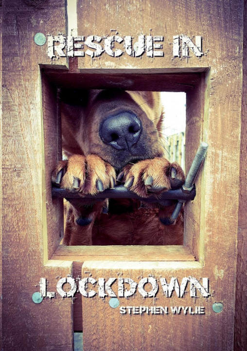 Knjiga Rescue In Lockdown Wylie Stephen Wylie