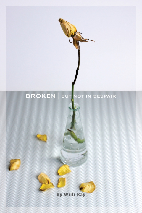 Knjiga Broken Ray Willi Ray