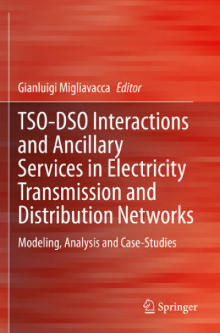 Kniha TSO-DSO Interactions and Ancillary Services in Electricity Transmission and Distribution Networks 