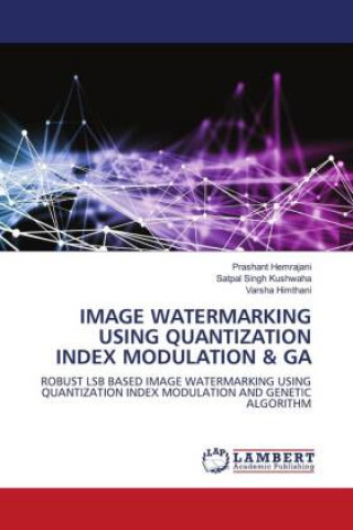 Knjiga Image Watermarking Using Quantization Index Modulation & Ga PRASHANT HEMRAJANI