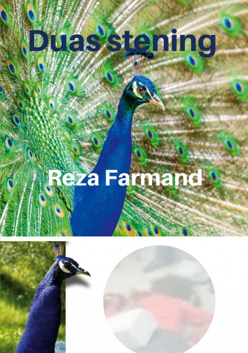 Buch Duas stening Reza Farmand